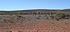 zc) WildHorses.jpg