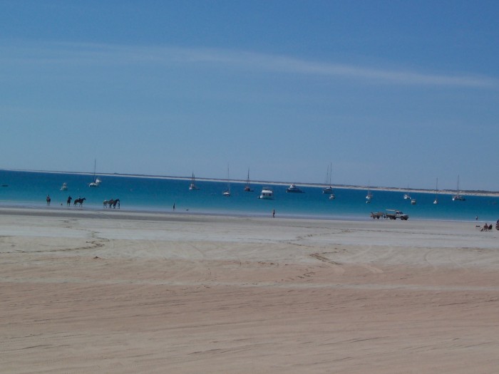 zd) Walagun Or Minyirr.jpg