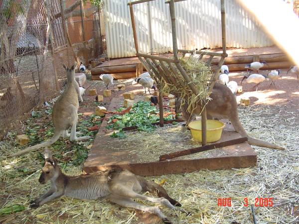 zzs) Chilling Out ;-).jpg