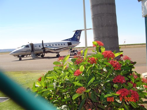 f) AirNorth-SturdyBird.jpg