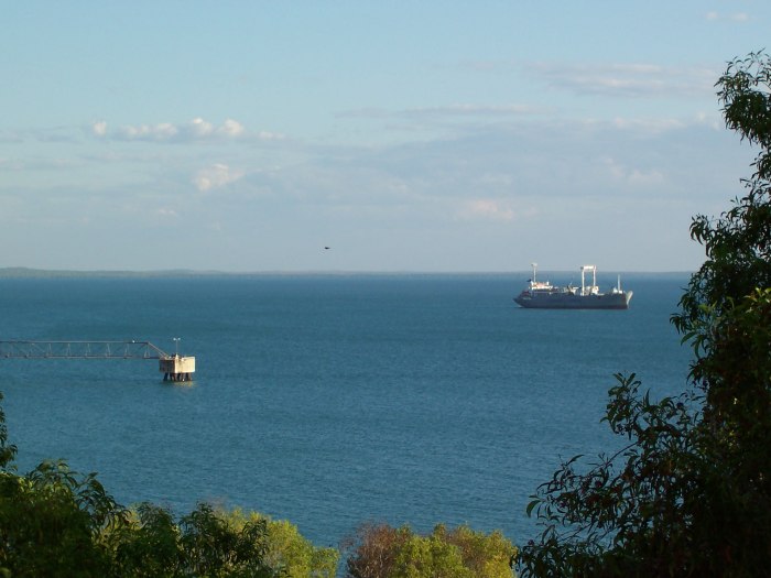 zr) The View.jpg