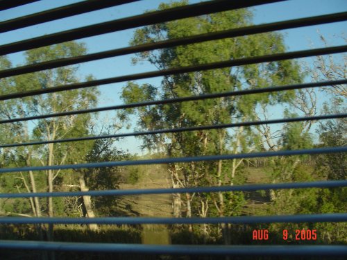 i) Scenery.jpg