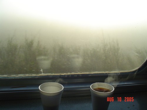 v) WednesdayMorning.jpg