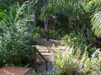 zg) Path IntoBush-TowardsBeach.jpg