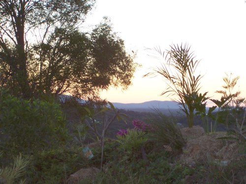 zzj) Nice LandScaping!.jpg