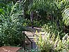 zg) Path IntoBush-TowardsBeach.jpg