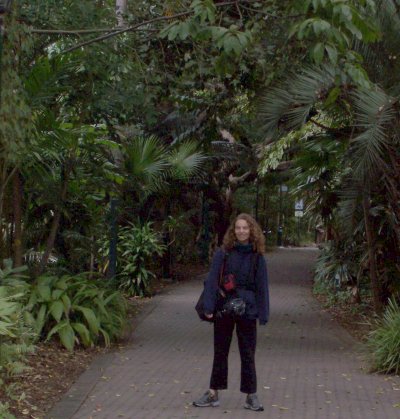 za) JunglePath.jpg