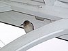 b) RainyFridayMorning-NiceShelter;-).jpg
