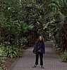 za) JunglePath.jpg